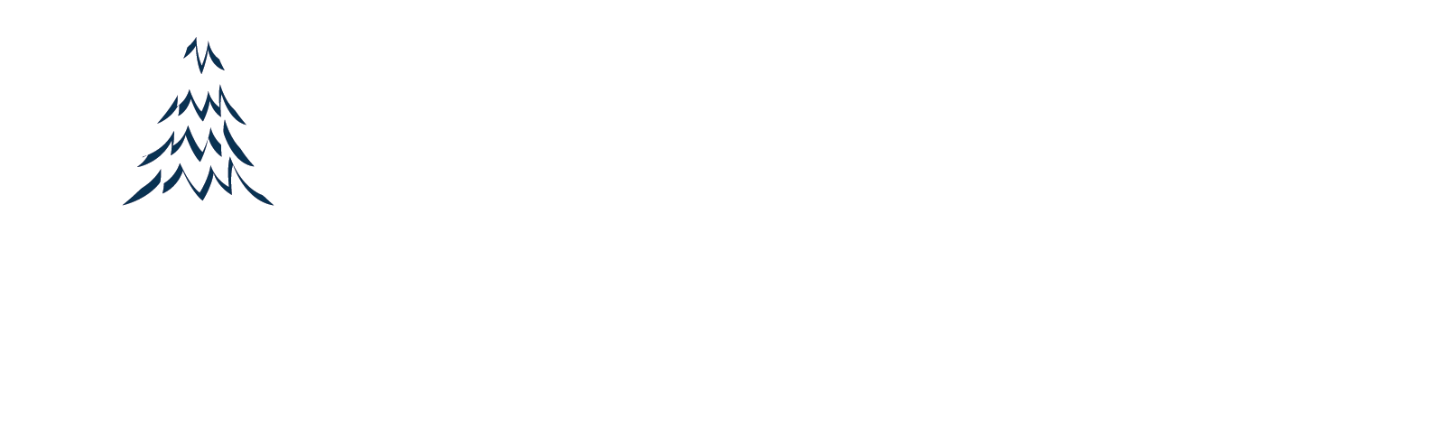 Freeport Business Portal